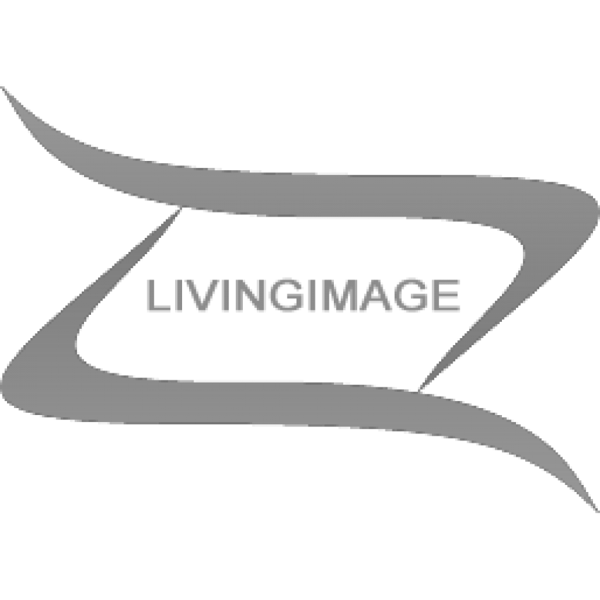 Metal and Marble Look